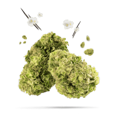 Vanilla Chill Zone - Happy420