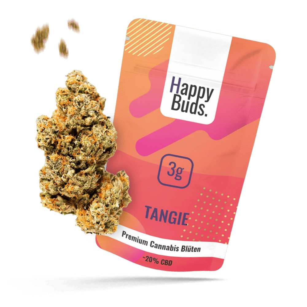 Tangie - HappyBuds