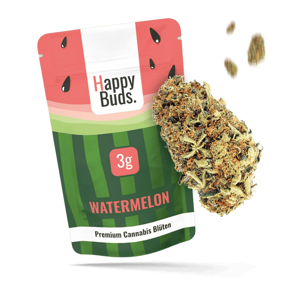 Watermelon - HappyBuds
