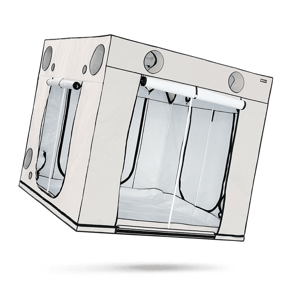 Homebox Ambient Q240+ - Grow Guru