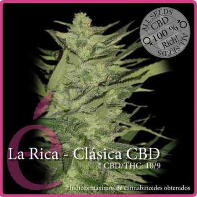 La Rica CBD - Alchimia