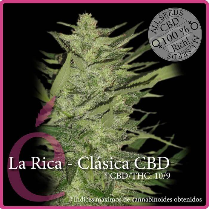 La Rica CBD - Alchimia