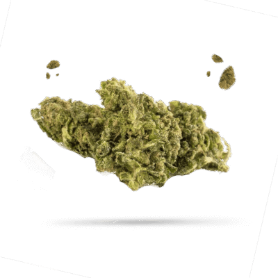 Lemon Haze CBG9 Blüten - East Smoke