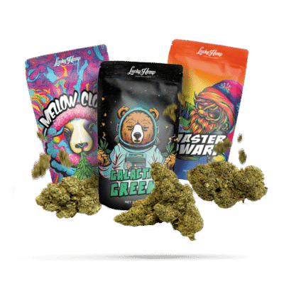 Cali Collection - Lucky Hemp