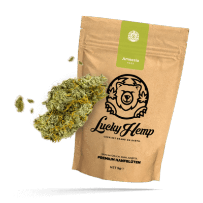 Amnesia Haze CBG Ökopack - Lucky Hemp