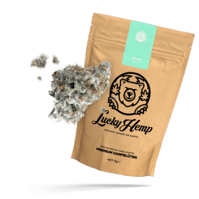 Snow Haze 41% CBD Ökopack - Lucky Hemp