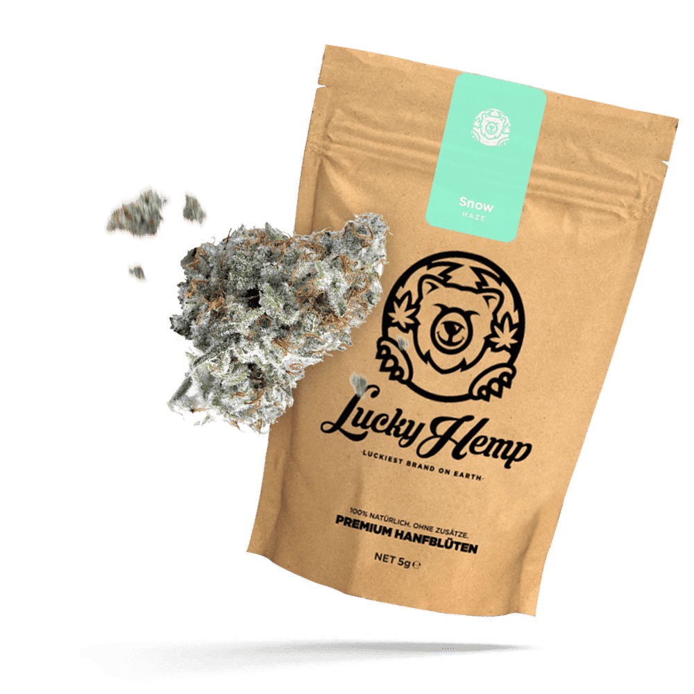 Snow Haze 41% CBD Ökopack - Lucky Hemp