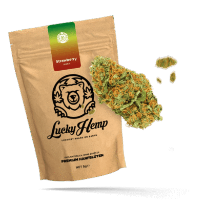 Strawberry Haze Ökopack - Lucky Hemp