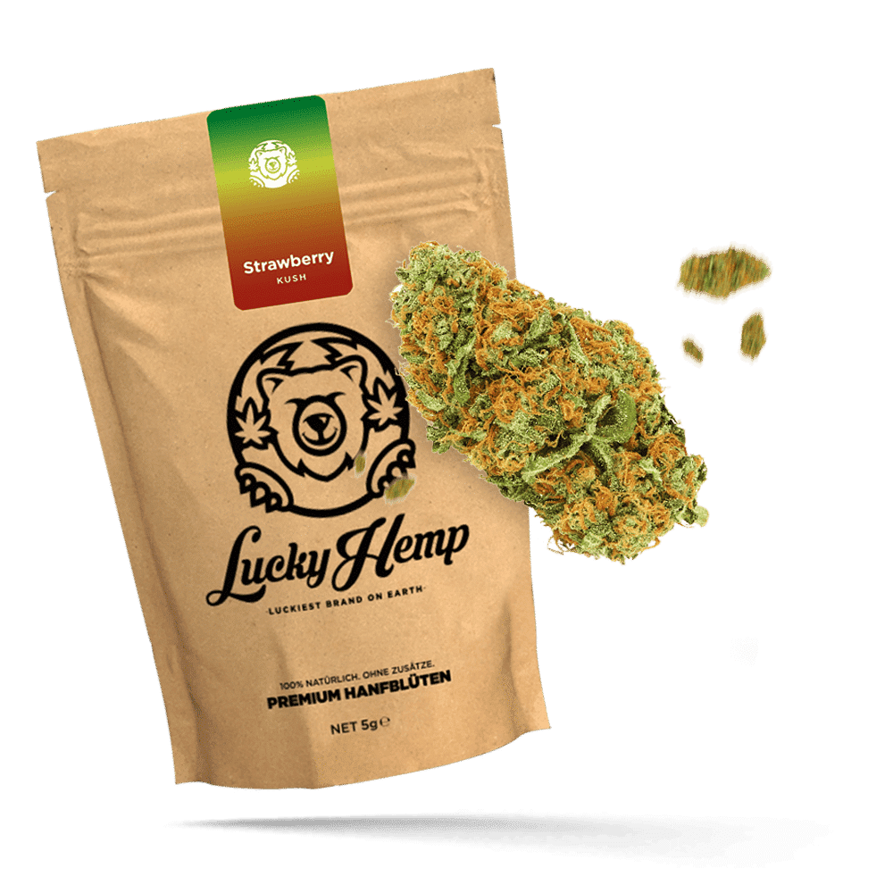 Strawberry Haze Ökopack - Lucky Hemp
