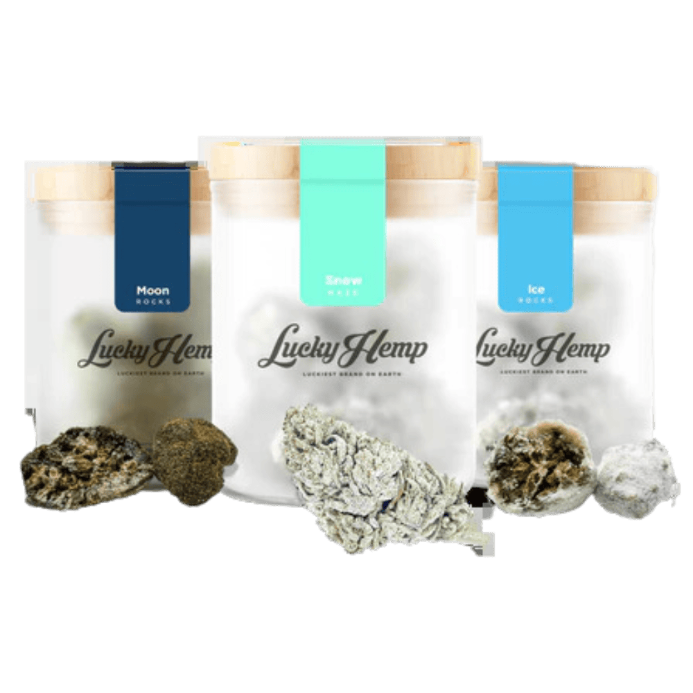 High CBD Probier-Set - Lucky Hemp