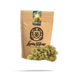Limoncello Ökopack - Lucky Hemp