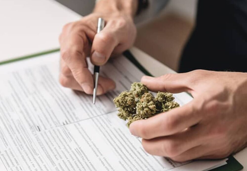 Medizinische Cannabisblüten