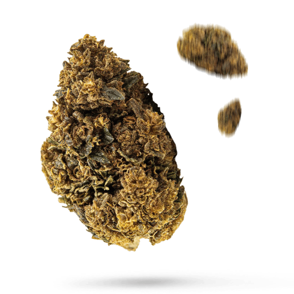 Gelato CBD Blüten - Naturecan