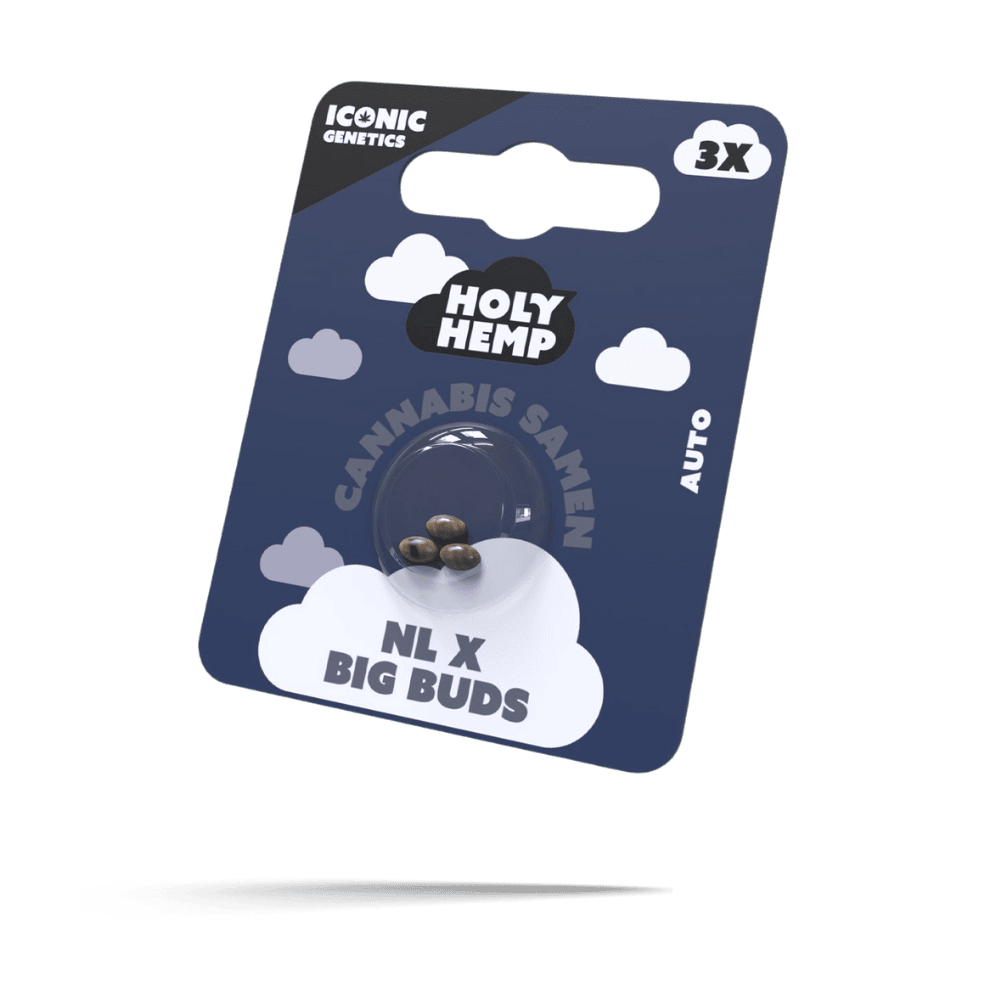 NL x Big Buds Samen - Autoflower - HappyBuds
