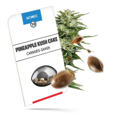 Pineapple Kush Cake Samen - Autoflower - Sensi Seeds
