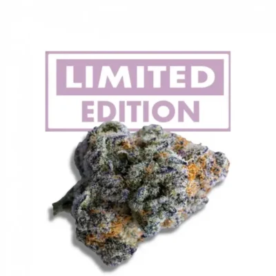 Platinum Mimosa Cookies Double XL Auto 3 - Alchimia