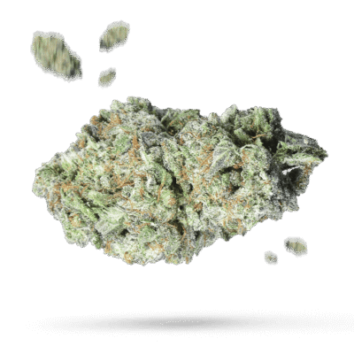 Pure Power Plant Samen - Autoflower - Sensi Seeds