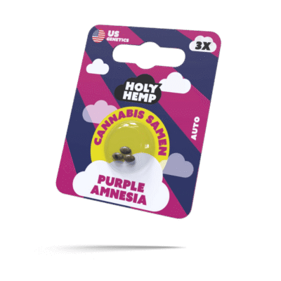 Purple Amnesia Samen - Autoflower - HappyBuds