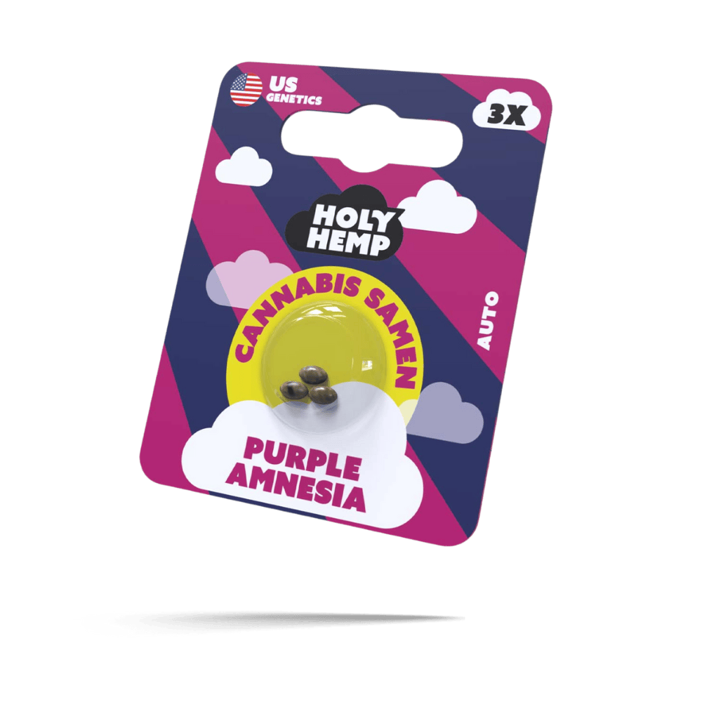 Purple Amnesia Samen - Autoflower - HappyBuds