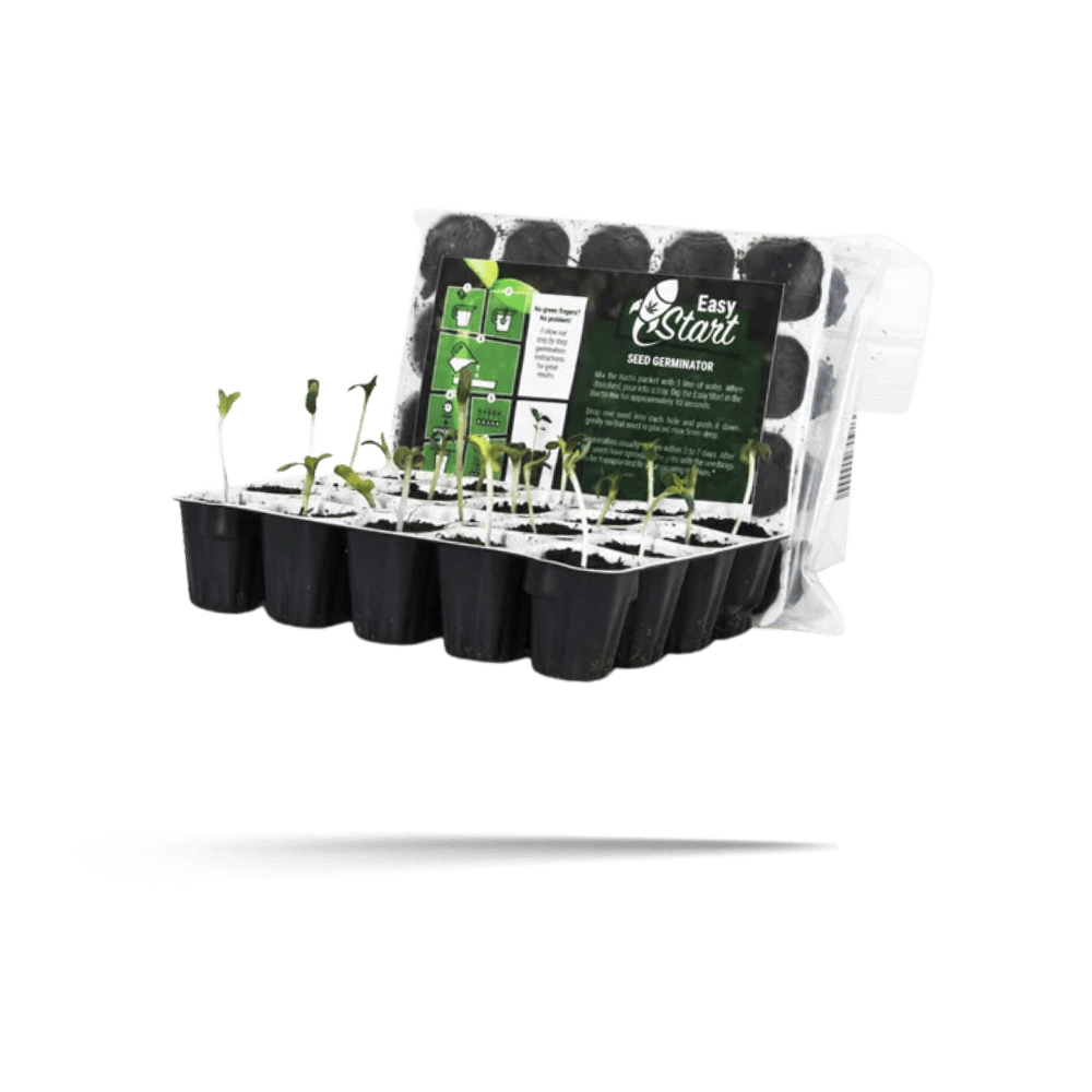 Easy Start - Royal Queen Seeds