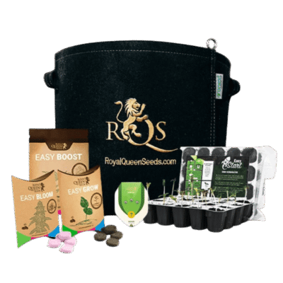 Cannabis Grow Kit für Anfänger - Royal Queen Seeds