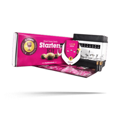 Starter Kit Feminized - Royal Queen Seeds