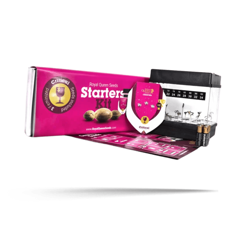 Starter Kit Feminized - Royal Queen Seeds