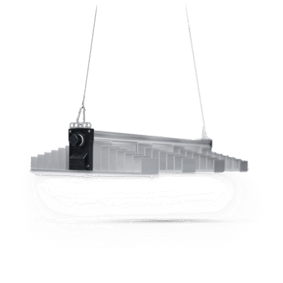 SANlight EVO 4 - Grow Guru