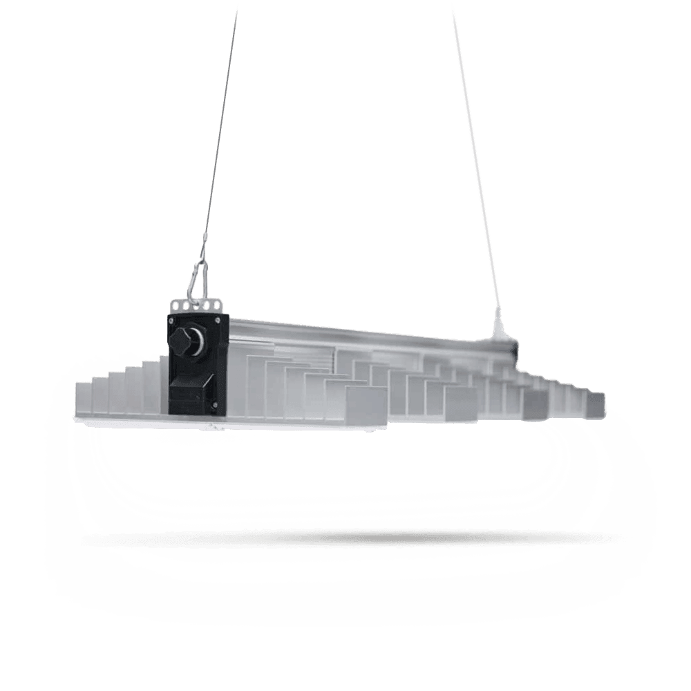 SANlight EVO 4 - Grow Guru