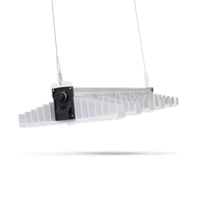 SANlight EVO 6 - Grow Guru