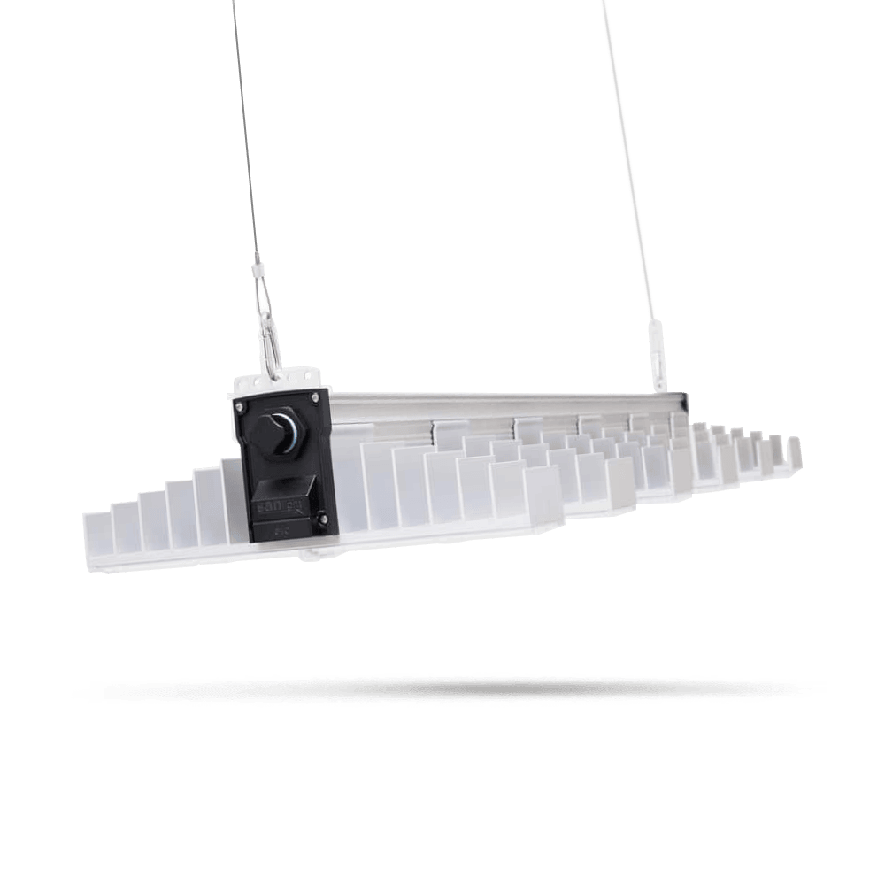 SANlight EVO 6 - Grow Guru
