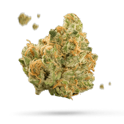 Sticky Orange XXL Samen - Autoflower - Sensi Seeds