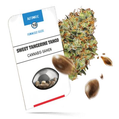 Sweet Tangerine Tango Samen - Autoflower - Sensi Seeds