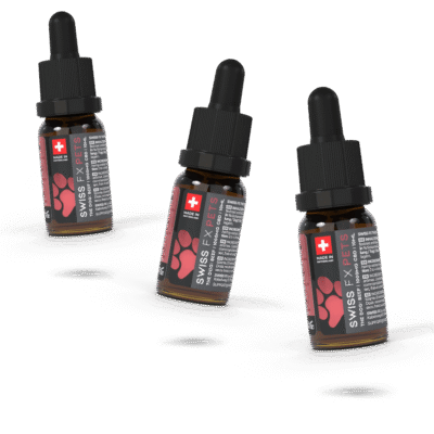 CBD Öl Hund 10% Rind Sparpaket - Swiss FX