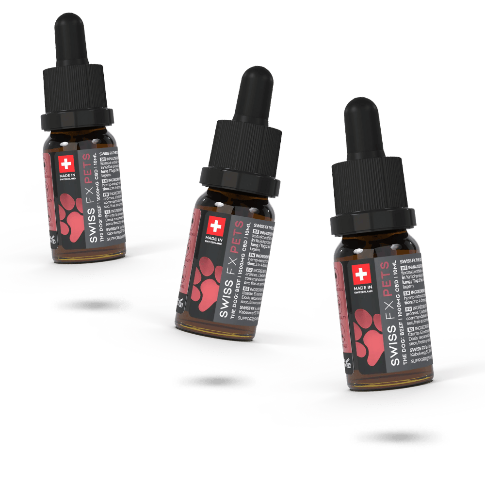 CBD Öl Hund 10% Rind Sparpaket - Swiss FX
