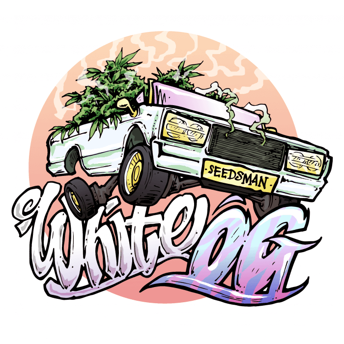 The White OG - Alchimia