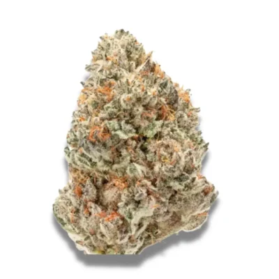 Watermelon Weddingcake 3 - Alchimia