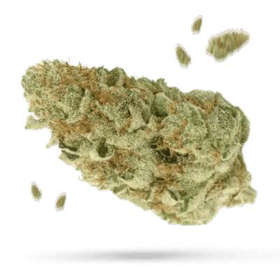 White Widow Samen – Autoflower – Happy420