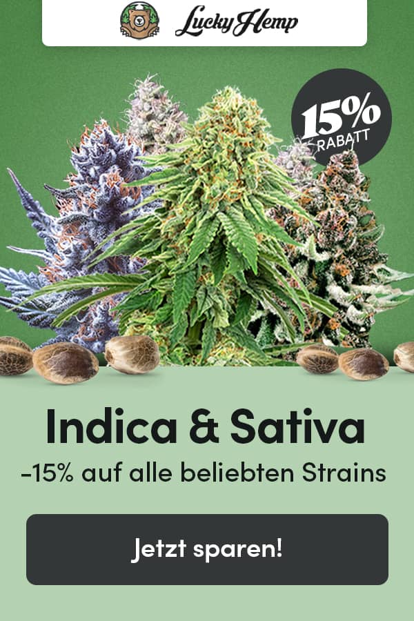 Lucky Hemp Aktion