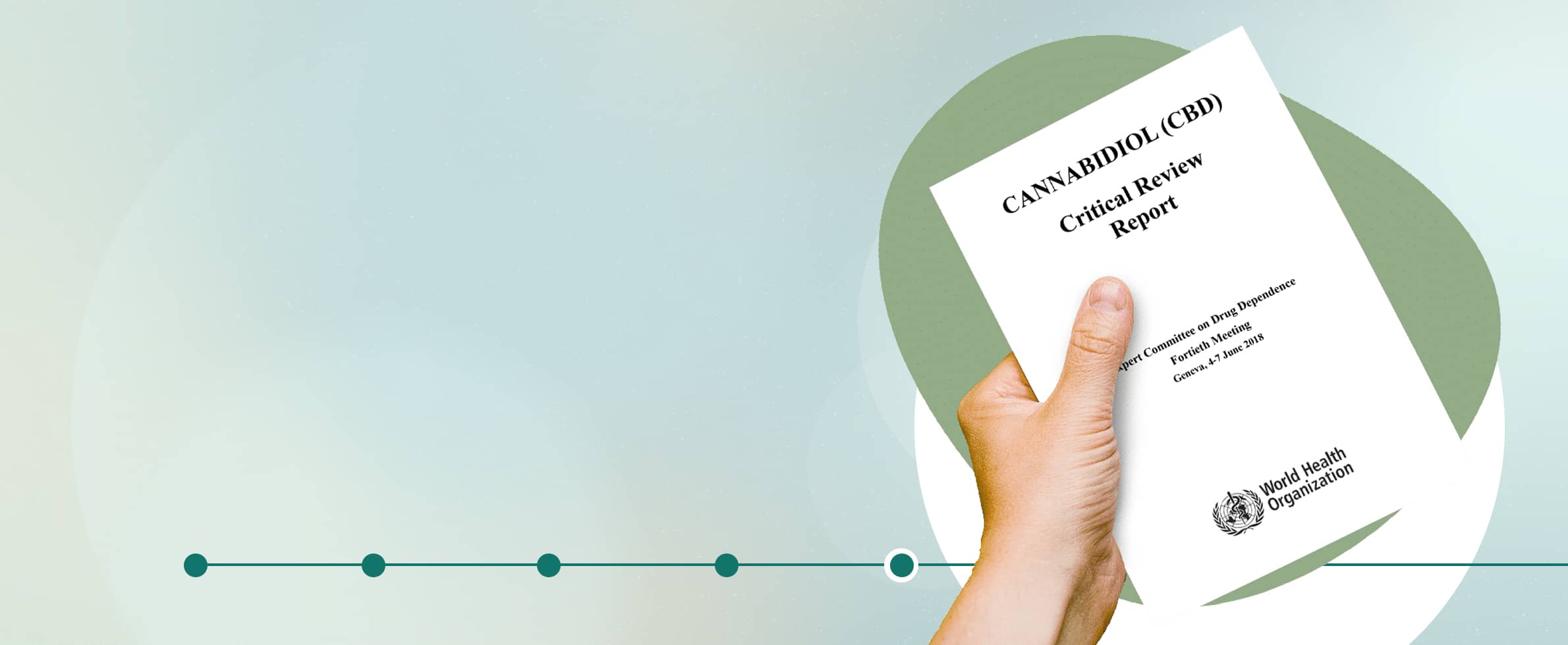 Zusätzliche Studien und Fallberichte erhöhen die Chancen auf eine positive Entscheidung.