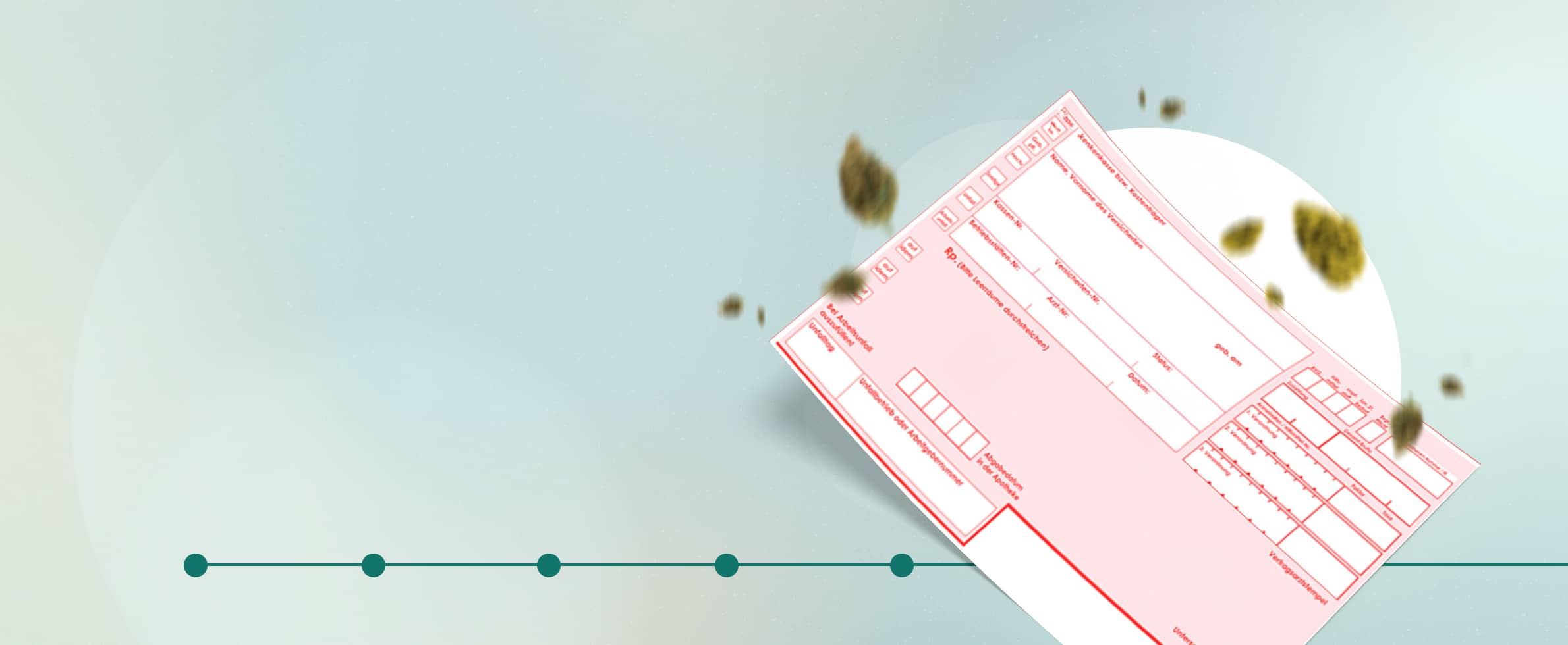 Schritt-für-Schritt Anleitung für die Antragserstellung, um Cannabis Patient zu werden