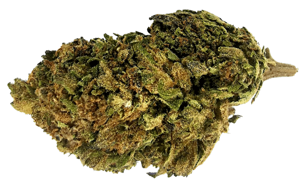 Blackberry OG CBG9 Blüten 1g - Cannaconda