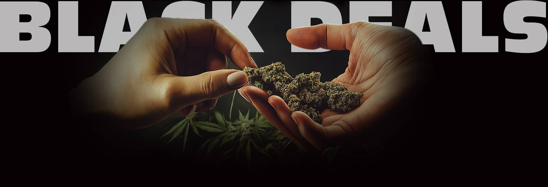 Cannabis am Black Friday