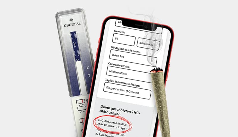 Cannabis konsumieren