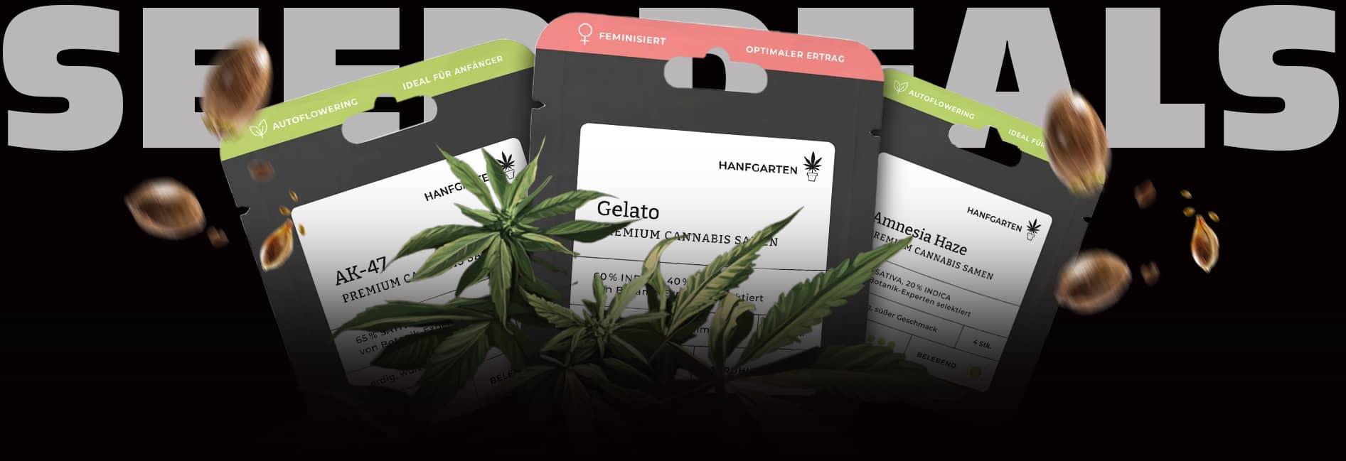 Cannabis Samen am Black Friday