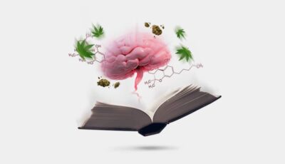 Alles über die Cannabis Wirkung erforschen