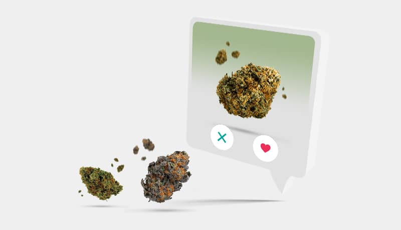 Cannabisblüten- und Strain-Datenbank