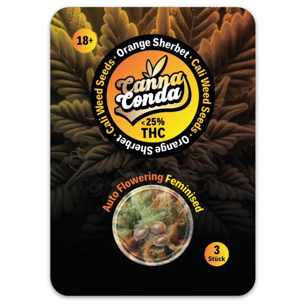 Orange Sherbet Auto Feminised Cali Seeds - Cannaconda