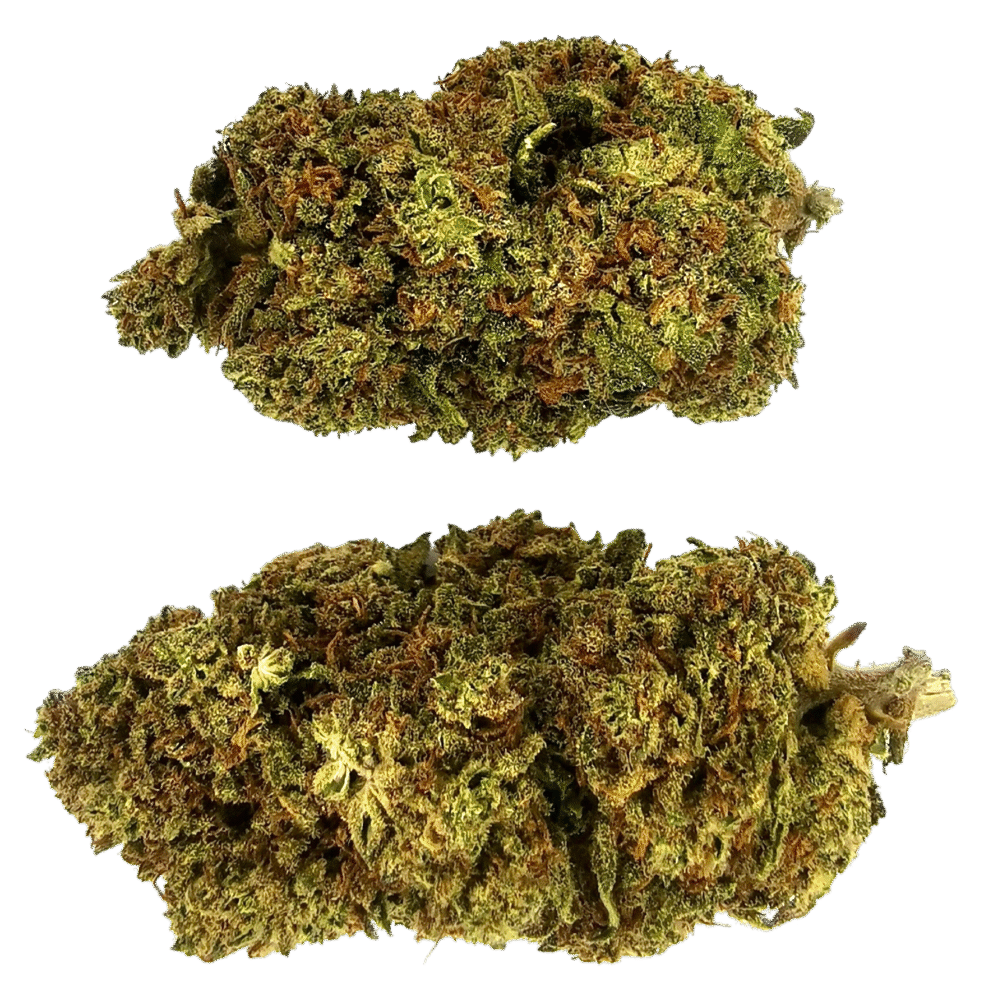 Strawberry Cookies 10-OH Blüten 1g - Cannaconda