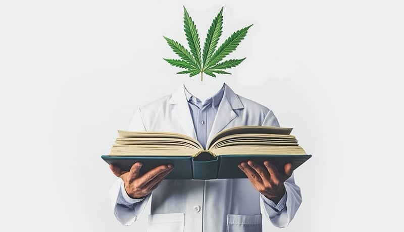 Wissenswertes zu Cannabis